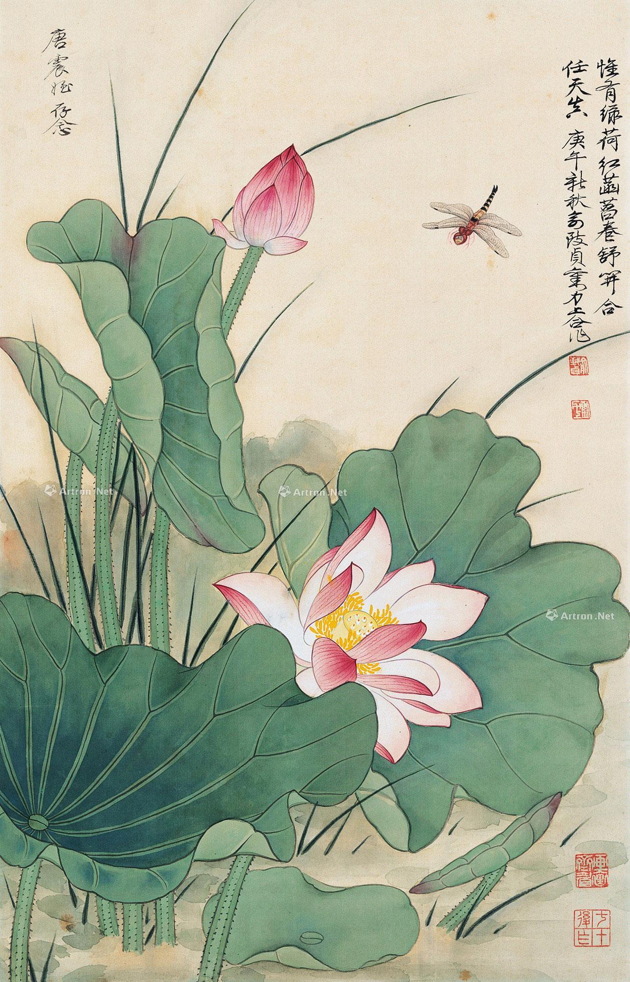 荷花蜻蜓图水粉画图片