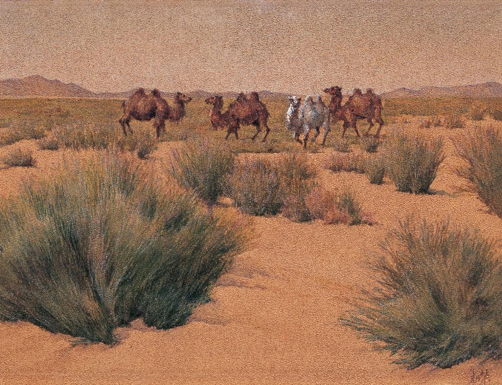 沙漠绘画作品图片